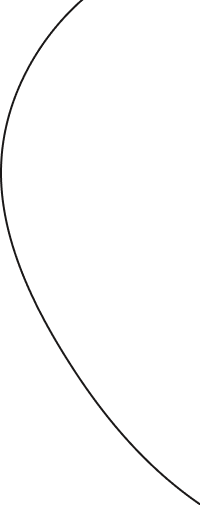 vector decoration