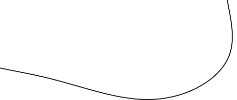 vector decoration