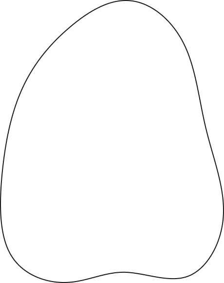 vector